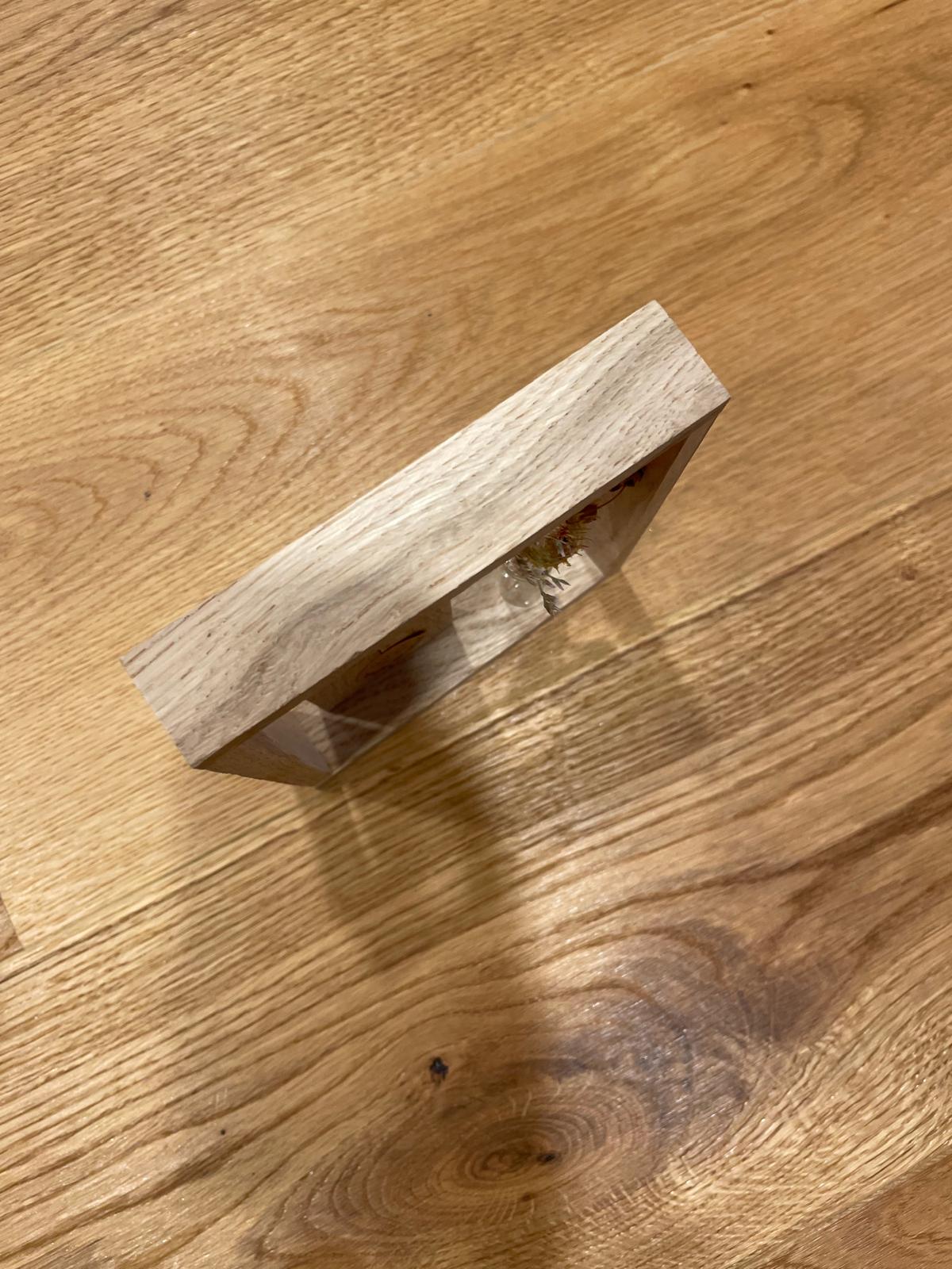 Mini‑Vase & Trockenblumen – Willkommensschild für den Eingangsbereich – Geschenk zur Einweihung