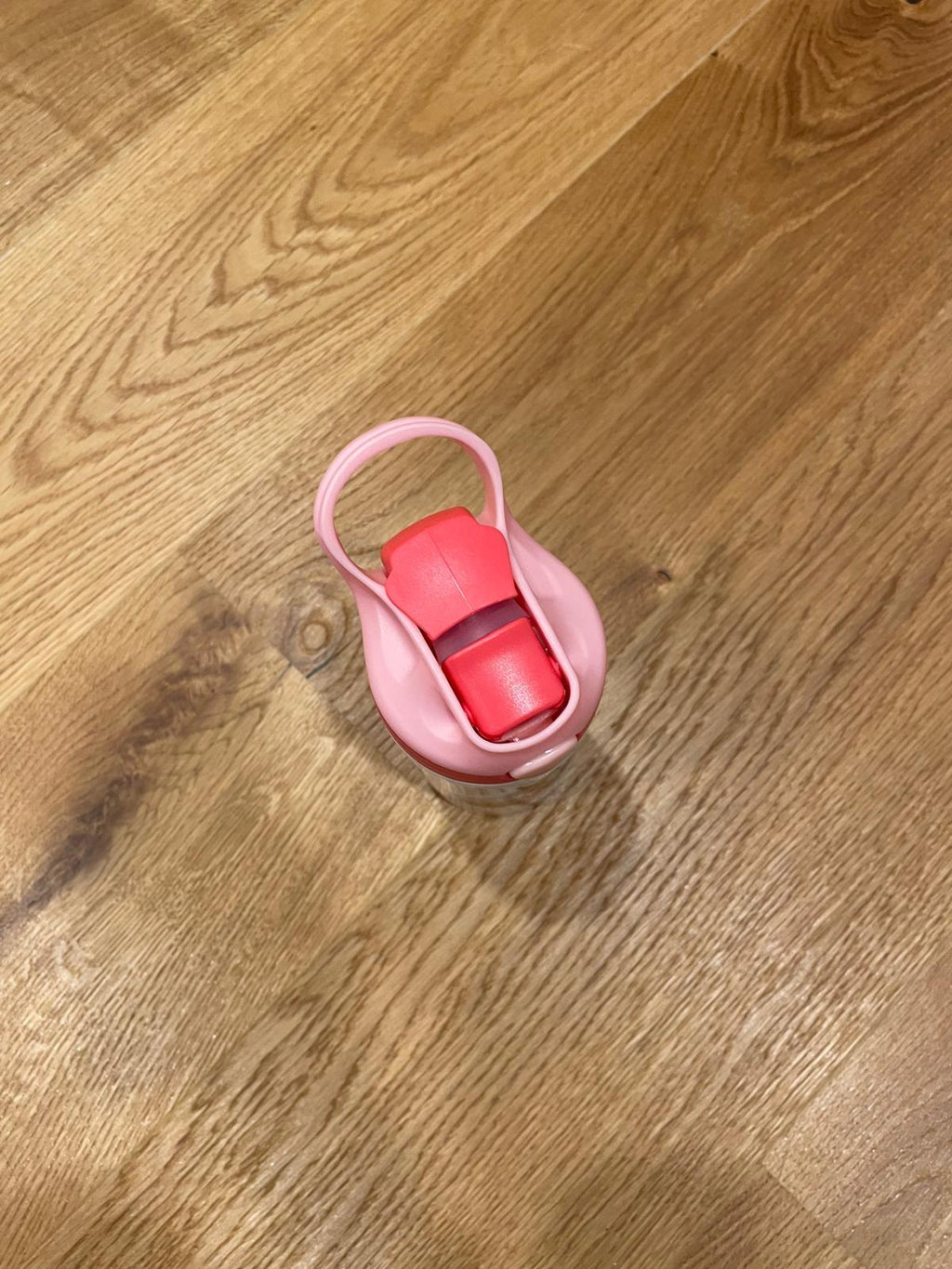 12oz/350ml Edelstahl-Isolierbecher - Ideal für Zuhause, Schule und Park "Pferd"